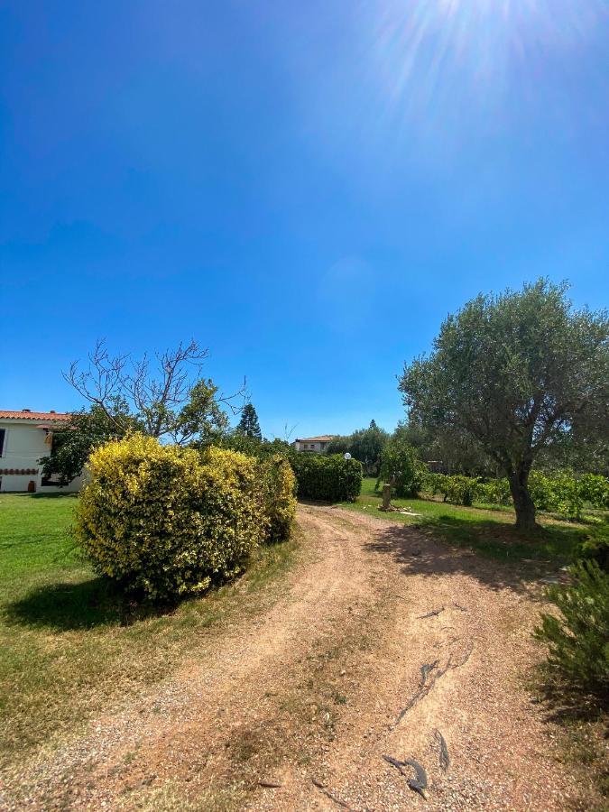 Villa Gladyr Lotzorai Bagian luar foto