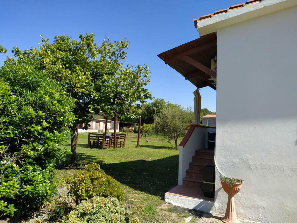 Villa Gladyr Lotzorai Bagian luar foto